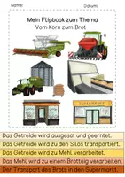 Vorschau - Arbeitsblätter - Flipbook - Vom Korn zum Brot - Seite 2