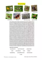 Vorschau - Arbeitsblätter - Materialpaket "Natur-Suchsel/ Rätsel" (Vertretungsstunden, DaZ, Kurzweil), Klasse 5-10 - Klimamaterial - - Seite 1