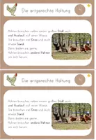 Vorschau - Unterrichtsreihen - Lerntheke Huhn Artgerechte Haltung, Haustier/ Nutztier, Bauernhof - Seite 1