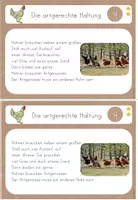 Vorschau - Unterrichtsreihen - Lerntheke Huhn Artgerechte Haltung, Haustier/ Nutztier, Bauernhof - Seite 2