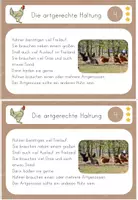 Vorschau - Unterrichtsreihen - Lerntheke Huhn Artgerechte Haltung, Haustier/ Nutztier, Bauernhof - Seite 3