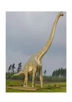 Vorschau - Arbeitsblätter - Faszination Dinosaurier Steckbrief 2: Der Apatosaurus - Seite 2