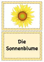 Vorschau - Arbeitsblätter - Die Sonnenblume - Materialpaket - Deckblatt