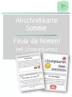 Vorschau - Arbeitsblätter - Abschreibkartei Sommer: Finde die Nomen! - Deckblatt