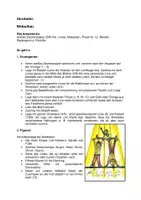 Vorschau - Mal- und Bastelvorlagen - Akrobaten - Bildaufbau - Seite 1