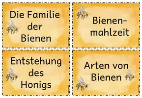 Vorschau - Stationenlernen - Stationsschilder: Bienen-Lesekartei (Reihentransparenz) - Seite 2