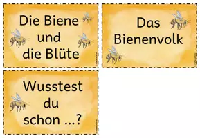 Vorschau - Stationenlernen - Stationsschilder: Bienen-Lesekartei (Reihentransparenz) - Seite 3