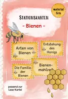 Vorschau - Stationenlernen - Stationsschilder: Bienen-Lesekartei (Reihentransparenz) - Deckblatt