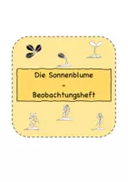 Vorschau - Arbeitsblätter - Sonnenblume - Beobachtungsheft - Deckblatt