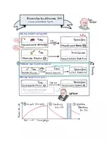 Vorschau - Arbeitsblätter - Lerntheorien der Psychologie - PAKET (Klassisches / Operantes Konditionieren / 2-Faktoren / Modelllernen) - Seite 3