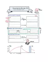 Vorschau - Arbeitsblätter - Klassisches Konditionieren - Psychologie - Seite 2