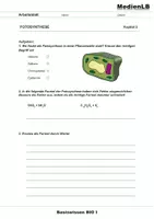 Vorschau - Arbeitsblätter - Fotosynthese - Deckblatt