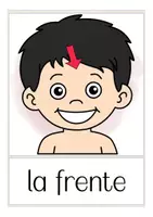 Vista previa - Presentaciones - EL CUERPO tarjetas de vocabulario Español / E.L.E. - página 3