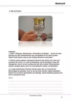 Vorschau - Arbeitsblätter - Christliche Feiertage - Festtags-Steckbrief - Seite 2