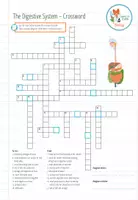 Vista previa - Juegos / Gamificación - Digestive System – Crossword Puzzle - página 2