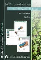Vista previa - Hojas de trabajo - Cells - Structure of Mitochondria - Portada