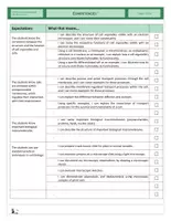 Vista previa - Tarjetas / Manipulativos - Competencies Cells - página 2