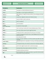 Vista previa - Hojas de trabajo - CLIL - Vocabulary Training - Birds - página 1