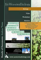 Vista previa - Hojas de trabajo - Ecology - Joshua Trees - Adaptations to Life in the Mojave Desert - Portada
