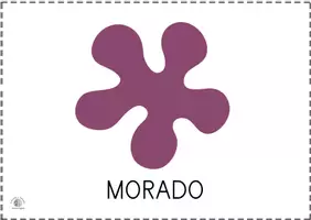 Vista previa - Tarjetas / Manipulativos - Bits de inteligencia: Colores (Con nombre) - página 3