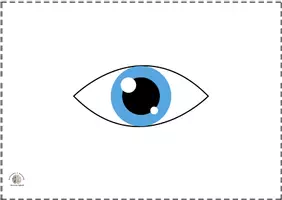 Vista previa - Tarjetas / Manipulativos - Bits de inteligencia: Partes del cuerpo (Sin nombre) - página 1