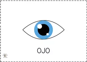 Vista previa - Tarjetas / Manipulativos - Bits de inteligencia: Partes del cuerpo (Con nombre) - página 1