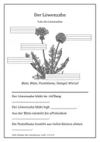 Vorschau - Arbeitsblätter - Arbeitsblatt: Löwenzahn - Deckblatt