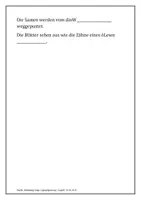 Vorschau - Arbeitsblätter - Arbeitsblatt: Löwenzahn - Seite 1