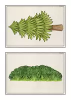Vorschau - Bildkarten - Bild- und Wortkarten "Easter and Prepositions" - Seite 3