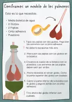 Vista previa - Unidades / Secuencias / Situaciones de Aprendizaje - Órganos unidad didáctica - hojas de trabajo, ensayos, experimentos - página 1