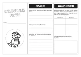 Vorschau - Arbeitsblätter - Wirbeltierflyer Biologie - Seite 2