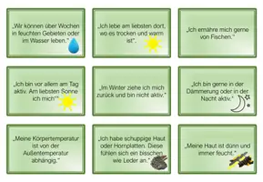 Vorschau - Spiele - Amphibien und Reptilien spielerisch vergleichen - Seite 1