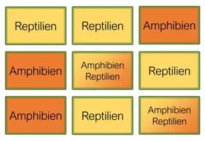 Vorschau - Spiele - Amphibien und Reptilien spielerisch vergleichen - Seite 2