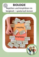 Vorschau - Spiele - Amphibien und Reptilien spielerisch vergleichen - Deckblatt