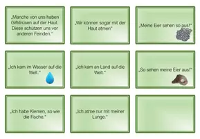 Vorschau - Spiele - Amphibien und Reptilien spielerisch vergleichen - Seite 3