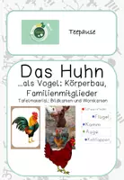 Vorschau - Poster - Tafelmaterial Huhn, Bildkarten, Wortkarten, Körperbau, Familie - Deckblatt