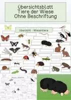 Vorschau - Arbeitsblätter - Arbeitsblatt - Wiesentiere - Deckblatt