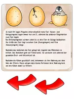 Vorschau - Stundenentwürfe - Umfangreiches Materialpaket rund um den Pinguin #happyhalloween24 - Seite 3