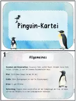 Vorschau - Stationenlernen - Wissenskartei Pinguine - Seite 2
