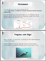 Vorschau - Stationenlernen - Wissenskartei Pinguine - Seite 3