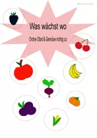 Vorschau - Arbeitsblätter - Arbeitsblätter Obst und Gemüse XXL Paket - Seite 3