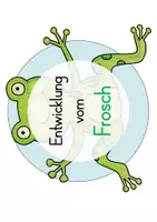 Vorschau - Präsentationen/Tafelbilder - Der Frosch (Lebenszyklus) Klasse 1 - Seite 2