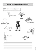 Vorschau - Unterrichtsreihen - Forscherheft zu Nahrung und Feinden des Pinguins - Seite 1
