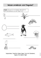 Vorschau - Unterrichtsreihen - Forscherheft zu Nahrung und Feinden des Pinguins - Seite 2