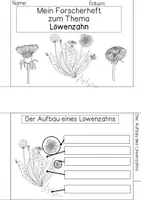 Vorschau - Arbeitsblätter - Forscherheft - Löwenzahn - Seite 1