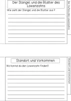 Vorschau - Arbeitsblätter - Forscherheft - Löwenzahn - Seite 3