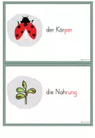 Vorschau - Arbeitsblätter - Marienkäfer - Klasse 1/2 - Arbeitsblätter (differenziert) - Seite 2