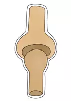 Vista previa - Unidades / Secuencias / Situaciones de Aprendizaje - articulaciones unidad didáctica - material de pizarra, hojas de trabajo, ensayos, mapas de imágenes - página 1