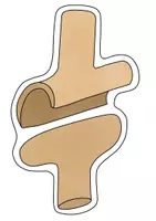 Vista previa - Unidades / Secuencias / Situaciones de Aprendizaje - articulaciones unidad didáctica - material de pizarra, hojas de trabajo, ensayos, mapas de imágenes - página 3