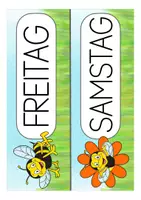 Vorschau - Lehrpläne/Lehrermaterial - Tagestransparenz Bienenklasse - Seite 3